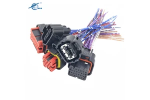 Chcwld Custom Automotive Cable Assemblies Auto Electrical Wire Harness Cable Assembly