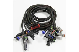 New Energy Car Automatic Harness Customized ECU Connector Wire Harness