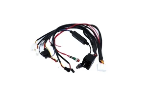 Customized Automotive Auto Alarm Led Cable Assembly GPS Wiring Harness