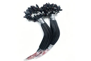 Durable OE Standard Customized Electrical Connector Assembly Car Minibus Lorry Truck Van Coach Pickup Bus Car Wiring Harness