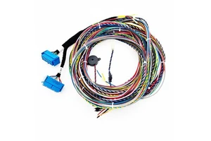 Custom Car Aftermarket Engine Control Wiring Harness