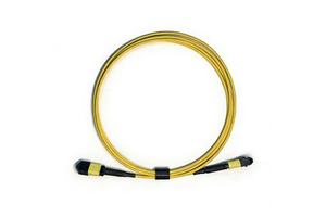 MPO OM4 50/125 Multimode Fiber Optic Cable 8 Strand 12 Cores LSZH Fiber Optic Patch Cord