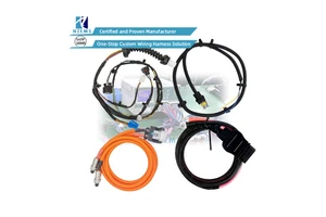 Custom Wire Harness Manufacturer for Automotive Racing Harness Marine ATV/UTV Golf Cart Trailer Electric Vehicle Wiring Loom