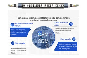 Factory Manufacturing Custom Wiring Harness E00106 Auto Electrical Cables Wire Harness Assembly