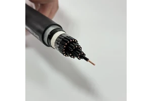 Manufacturer WDZC-KYJY Pure Copper Core Low Smoke zero Halogen National Standard Flame-retardant Wire Control Cable