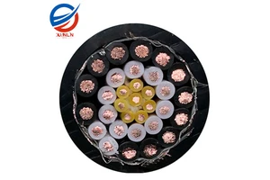 Source Manufacturer High Performance Composite Cable: Power+Control+Communication , Integrated Efficient Wiring