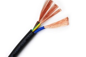 RVV Cable 2/3/4/5 Core 0.5/0.75/1.5/2.5/4/6 Mm² Flexible PVC Insulated Sheathed Electrical Wire
