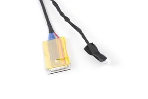 Lvds Cable Assembly with Twisted Pair and Shielded Jst Hit 2pin Connector Wire Harness for Computer Applications
