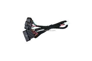 Custom Tin Plated Copper Automotive Wiring Harness with Customizable Size IP Level for Medical Devices Industrial Equipment More