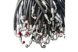 Two-Layer Braided Steel Wire Rubber SAE 100 R2 High Pressure Oil Resistant Hydraulic Hose En853 2SN with Cutting Service