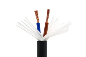 SYTA TRVV High Flexibility Cable 2-core Electrical Drag Chains Wire