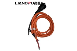 Original European Standard DC Charging Cable Harness Assembly for Yutong Zhongtong Skywell New Energy Bus Accessories