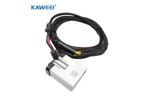 Customized Electronic Engine Plug Cable Connector Wire Harness for Automotive Equipment