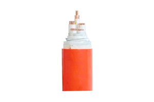 0.6/1KV Multicore Fire Resistant Mineral Insulated Cable NG-A BTLY for Fire Pump and Elevator / Skyscraper Main Grid