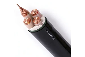 CBC CABLE 0.6/1kv Xlpe Insulated Two Core Oxygen-free Copper Low Voltage Building & Underground Use Electric Power Cable