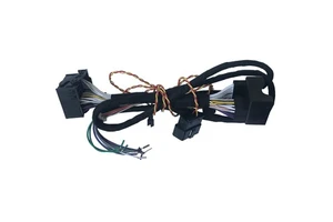 TSCN Hot Sell Custom Complete Automotive Wiring Harness Cable Assembly for Automobile