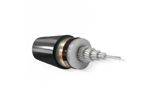 Single Core Aluminum Conductor 6/10kv Power Cable XLPE Insulation Non-Armored for Construction Power Stations Home Appliances