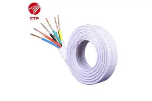 Outdoor Household AC/DC Power Cord Copper Core 2-4 Core RVV Cable 1.5-6mm Square Soft PVC Sheath 300/500V ISO9001 for