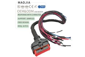 Custom IP67 Waterproof Automotive Wire Harness Injection Molded Multi-Pin Connector Cable Assembly for Car Accessories