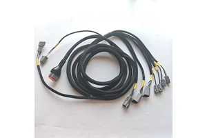 Harness Manufacturers DT04 DT12 Braided PVC/PTFE/Rubber Insulation 12V Wiring Harness for Automobile