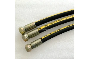 DIN 20022 EN 853 2SN Hydraulic Rubber Hose Hydraulic Oil Resistant Special Synthetic Rubber High Tensile Steel Wire Braided