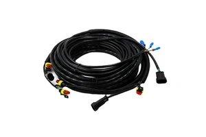 Factory Manufacture Auto Engine Connection Cable Whole Car Big Wiring Harness Custom AMP Auto