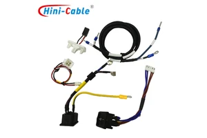 Professional Grade Automotive Wire Harness Sealed Cable Assemblies Premium Wiring for Commercial Vehicle Industrial Applications
