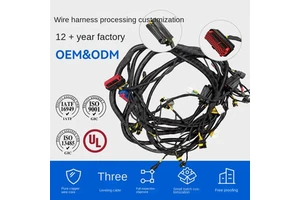 Dongguan Automotive Wiring Harness for Car Cleaning Vehicle Special Vehicle Snow Sweeper-Custom High/Low Voltage Assembly
