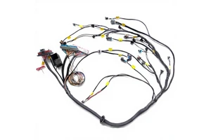 MINI Waterproof Fuse Box CNCH Braided Tube LS1/LS6 ECU Wiring Harness Dive-by-Cable 4L60E 4L80E T56 Transmission Pure Copper