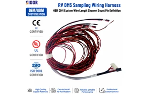 Custom Automotive Wiring Harness RV BMS Battery Sampling Cable PVC/PTFE/PBT IP66 Waterproof Connector for Camper Storage
