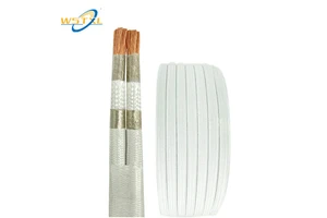 High-Temperature Resistant Multi-Strand Heating Wire 2*6mm Mica Winding Glass Fiber Braided Double Parallel Copper Wire Cables