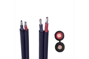 Factory PV1-F/H1Z2Z2-K DC PV Twin Solar Cable 4mm2 Red Black Tinned Copper XLPE/XPLO Photovoltaic Wire for Solar Panels