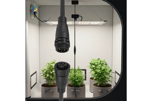 Customize M19 2Pin IP67 Anti UV Explosion Proof Outdoor Plant Grow Light Flame Retardant Automation Connector Cable