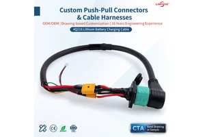 Customizable IP68 Waterproof 4Q216 Circular Bayonet Locking Aviation Device Medical Cable Harness For Industrial Aviation Plug