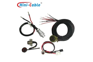 Professional Grade Premium Automotive Wire Harness Multiple Equipment Wiring Copper Conductor Sealed Cable Assemblies for Auto