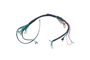 OEM ODM Customized Truck & Automobile Wiring Harness Assembly with PBT Insulation ISO9001 for Manufacturer