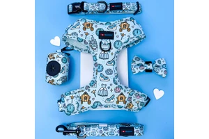 Hot Selling Customized Neoprene Dog Harness Set With Matching Collar Lead Poop Bag Dispenser And Bowtie