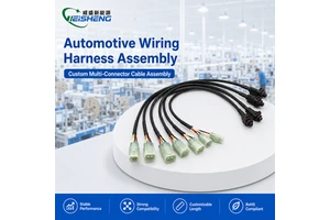 Factory Custom Automotive Wire Harness Cables Assembly with 6V/12V/24V Rated Voltage OEM Accepted