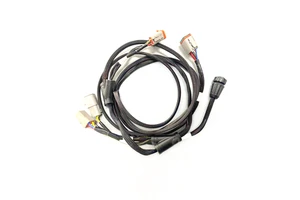 Electrical Customized Auto Wiring Harness Harness Car Connector Cable Assembly