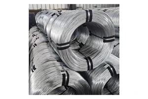Low Price 1mm-16mm DIA Q235/Q235B Electric Galvanized Steel Wire Rope With Cutting Bending Service