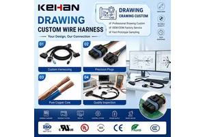 OEM Wire Harness Factory Professional For Drawing Customization Wire Harness Assembly