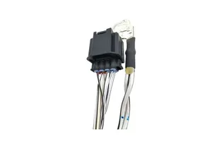 Blacksmith Plug Wire Harness for Toyota and Tesla Assembly Product