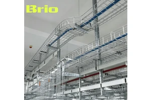 Data Center Wire Mesh Cable Tray High Strength Basket Tray Easy Cable Routing Pre-Galvanized HDG Custom Sizes
