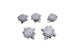 ATEX IP65 G1/2 G3/4 Cable Waterproof Aluminum Explosion-Proof Box Explosion-Proof Cable Junction Box