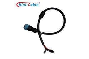 Professional Automotive Wiring Harness for Car Truck Vehicle Electrical System Custom Wiring Harness OEM Service