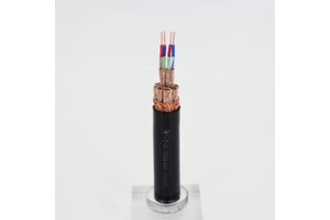 ZRC-DJYPVVP Stranded Copper Wire PVC & PE Insulated Shielded Armored Control Cable for Computer Signal Wire & Cable