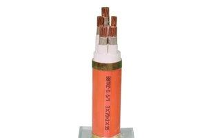 BTTZ Specialty Copper Fireproof Insulated Electric Wire High-Temperature Cable Construction PVC Insulation Solid Conductor