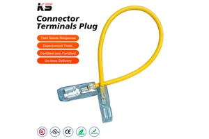 Custom Three Core Color Coded Pre Crimp Terminal Cable Assemblies Insulated Copper Wiring Harness for Electrical Equipment