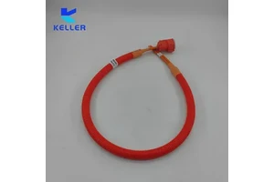 High Performance Customized Cable Assembly Connecting Wire Hv Automotive OEM Wiring Harness for Vehicle