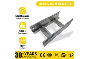 Factory Direct Sales Industrial Construction Aluminum Alloy Durable Heat Dissipation Ladder Cable Tray Customizable Side Rail